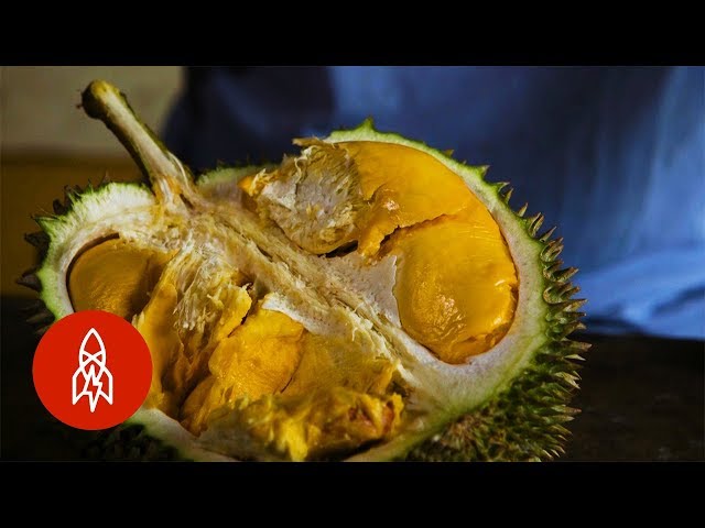 El durián, una fruta como ninguna otra