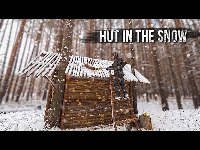 Building my log cabin alone in the woods. Snowed in. Part 10.