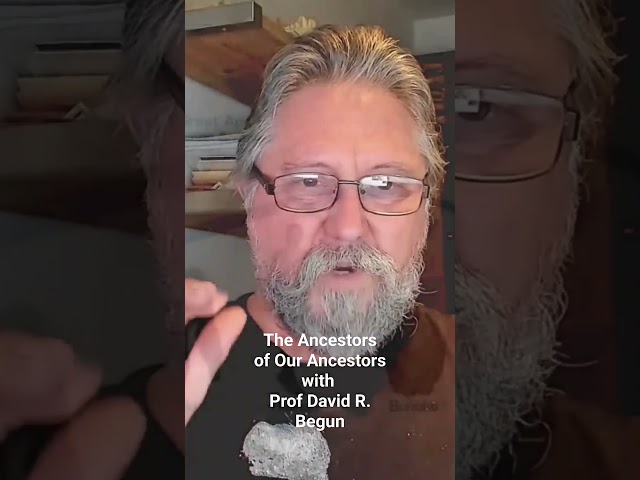 Clip from The Ancestors of Our Ancestors