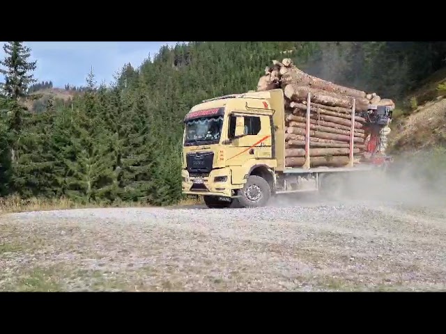 #holztransport #wald #woodworking