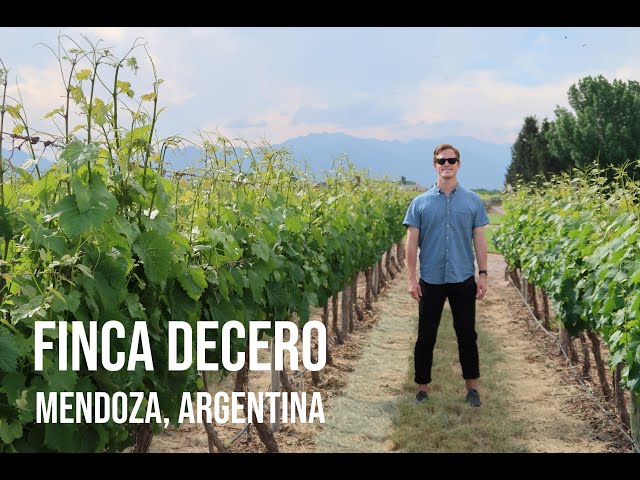 An Argentinian Winery | Finca Decero
