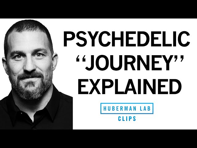 Clinical Psychedelic Journey (Set & Setting) Explained | Dr. Andrew Huberman