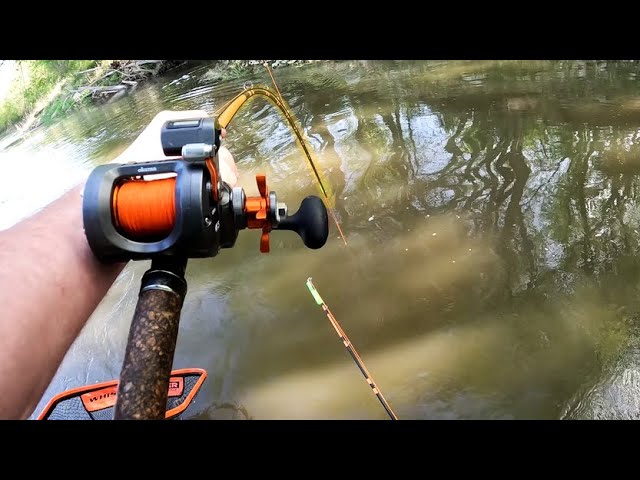 What Fishing for Flathead Catfish IS REALLY LIKE!! (Monster Fish)