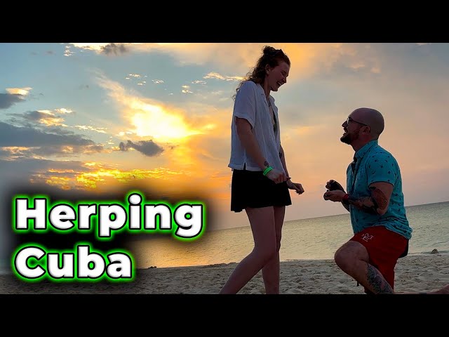 You Wont BELIEVE What I Found Herping In Cuba! UNBELIEVABLE Find!
