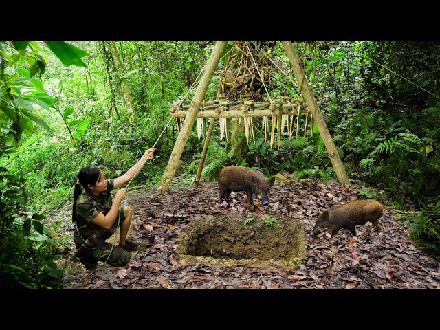 Forest Warrior Skills/ Camouflage Camera, Wildlife Tracking, Crafting a Large Bushcraft Trap P.2