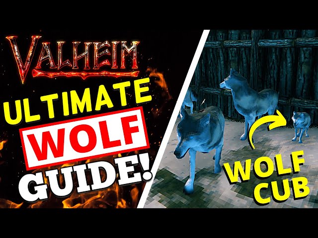 Valheim - How To Tame + Breed Wolves! WOLF GUIDE!