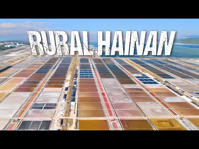 Life in RURAL Hainan 🇨🇳 I S2, EP69