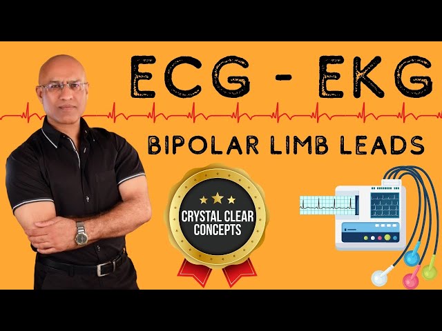 ECG |  EKG | Bipolar Limb Leads | Electrocardiography | Cardiology🫀