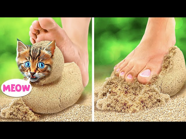 Hide The Kittens! *Crazy Animal Rescue And Secret Hacks for Pets*