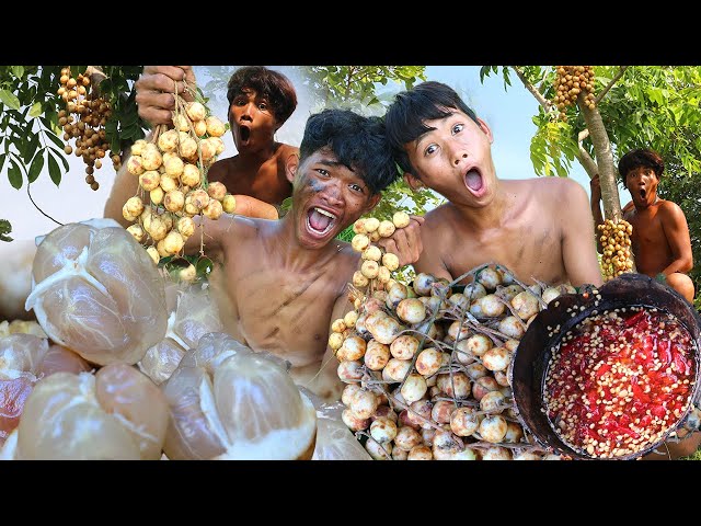 Ultimate Rainforest Adventure: Picking and Savoring Burmese Grapefruit Delights | Kmeng PreyTV