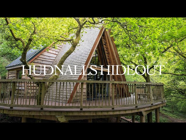 Exploring an A-Frame Treehouse in an Ancient Woodland (Airbnb Tour)