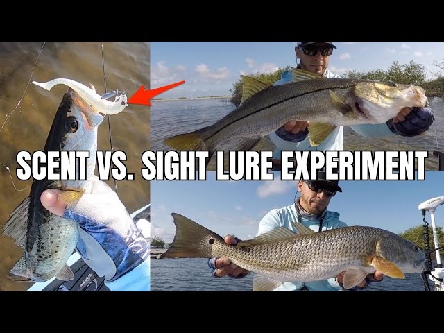 Scent VS Sight Lure Experiment: Adding Eyes To Lures Using A Sharpie