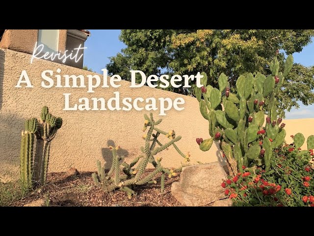 Revisiting a Simple Desert Landscape