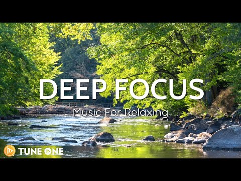 Tree Trunk - Relaxing Piano Music 🌞 Music For Meditation, Stress Relief, Healing