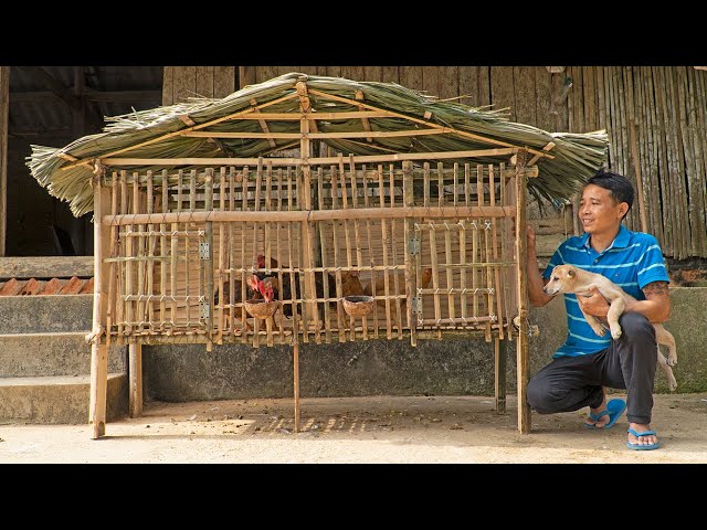 Full Video 5 Days: Builds bamboo house, Make Chickens Coop, Give a puppy, Challenges living alone