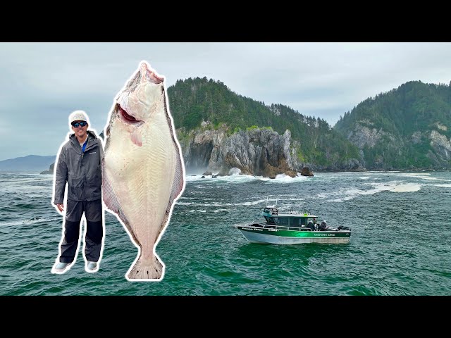 GIANT Alaskan Halibut! 4 Days Fishing and Eating what we catch!