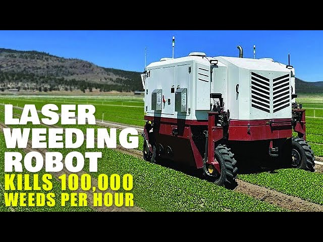 Laser Weeding Robot Kills 100,000 Weeds Per Hour