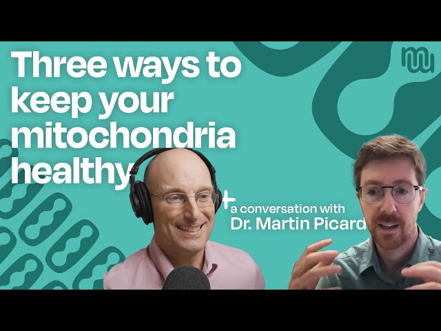 Mitochondria - The Key To Disease and Mental Health with Dr. Martin Picard