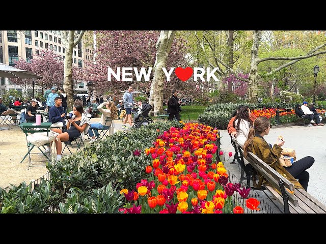 [4K]🇺🇸 The annual Car-Free Earth Day, NYC🚶‍♀️ 🛹 🚲Broadway, Union Sq. Madison Sq Park /Apr. 2024