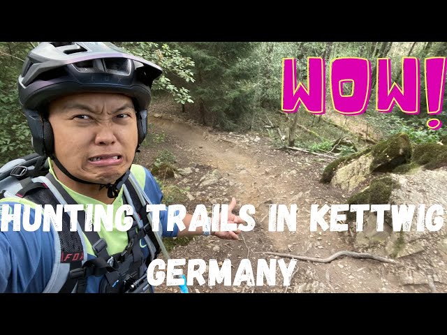 HUNTING TRAILS IN KETTWIG GERMANY