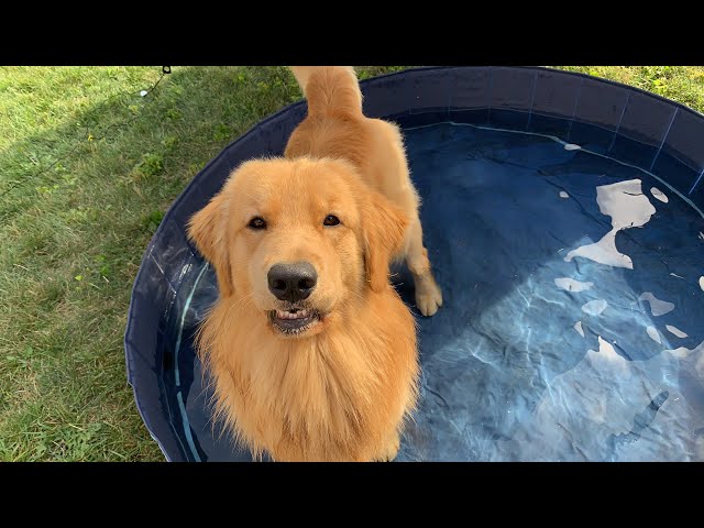 LIVE - Tucker Gets a Bath Outside
