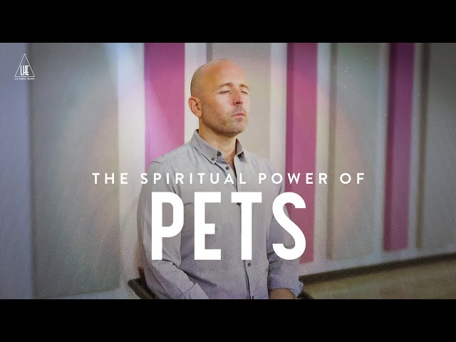 The Spiritual Power of Pets 🐈 🐶 🐠 🐢