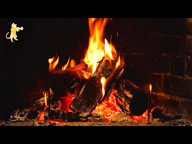 COZY Warm Fireplace! 🔥🙌 Burning Fireplace & Crackling Fire Sounds (NO MUSIC)