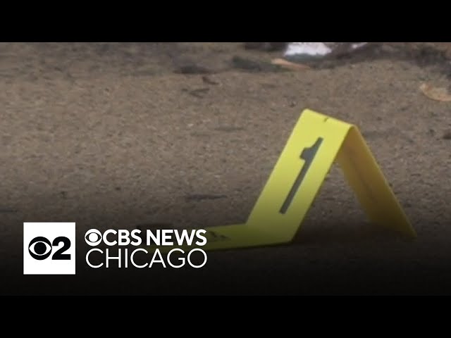 13-year-old girl shot in South Chicago after attempted car theft, family of shooter says
