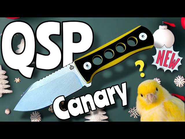QSP "Canary" ... montrer son petit oiseau n'est plus honteux !!!