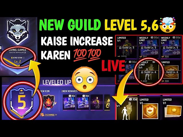 Guild ko 6 level Karne Ke Liye Kinta Activity Reward Chahiye | How To Max Guild  Level in Free Fire
