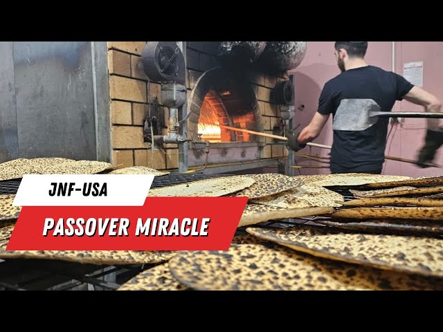 New Matzah Factory in the South