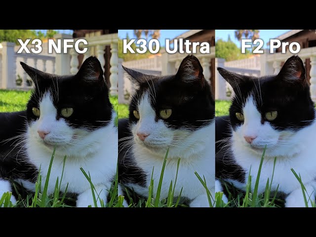 POCO X3 NFC Vs POCO F2 Pro Vs Redmi K30 Ultra Camera Comparison