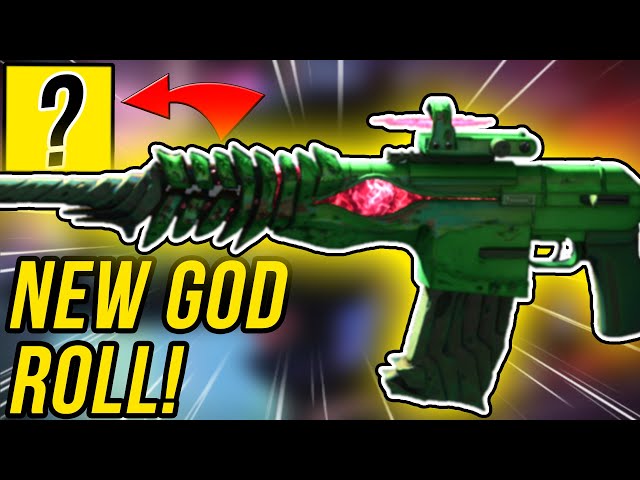THE NEW GOD ROLL IS HERE! (This Is The NASTIEST Auto Rifle)