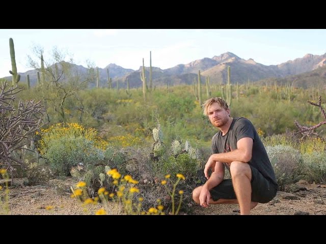 Solo Survival- How to Survive Alone in the Desert (Sonoran Desert)- Part One