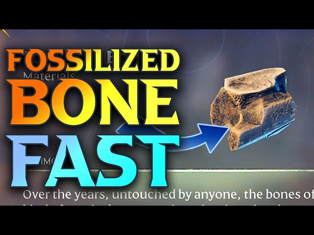 Enshrouded Fossilised Bone
