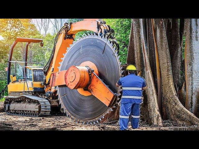 Amazing Fastest Big Forestry Chainsaw Machines - Powerful Logging Vehicles & Chainsaws