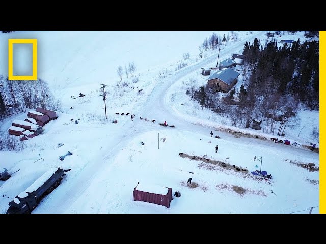 Capturing the Iditarod - Behind the Scenes | Life Below Zero