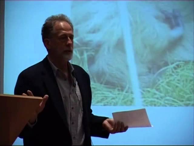 Michael Tomasello Lecture 1 - Intentional Communication of Great Apes