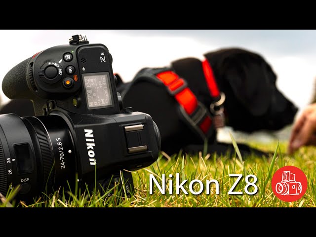 Why Everyone Can't Stop Talking About the Nikon Z8!