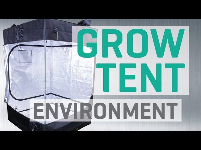 5 Grow Tent Environment Problems