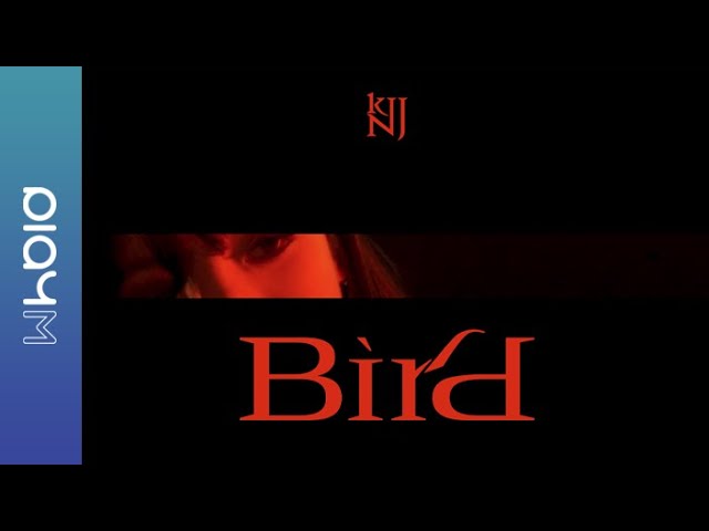 Kim Nam Joo (김남주) 1st Single Album [Bird] Concept Film #REBORN