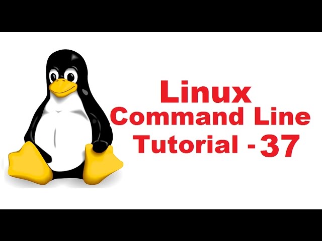 Linux Command Line Tutorial For Beginners 37 - grep command