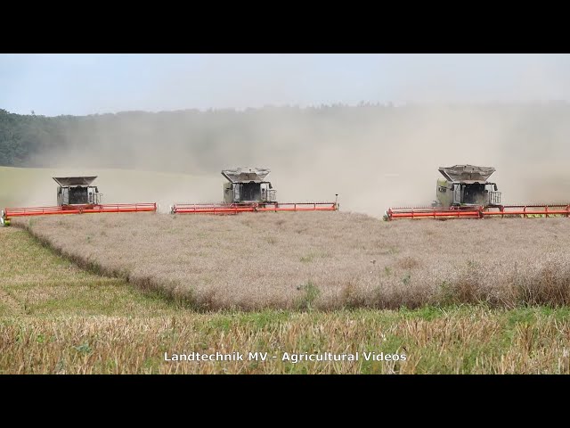 3X Claas 8900 / The Whole Story