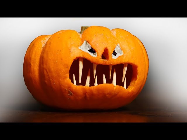 How to Carve a Halloween Pumpkin with Fangs!
