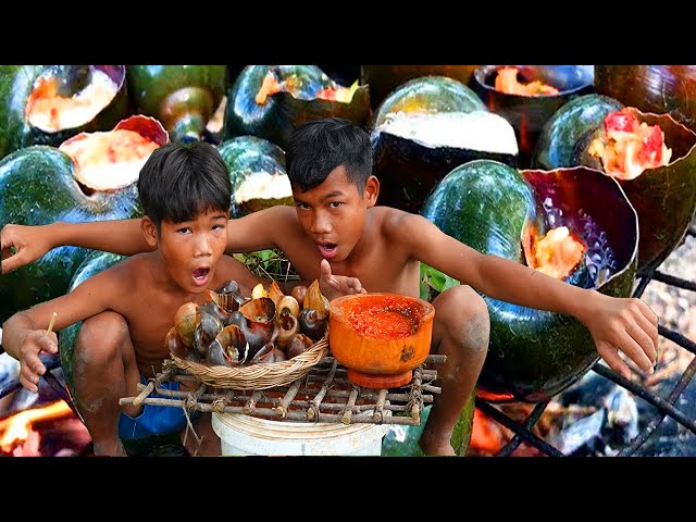 Find Food Meet Snail In Rice Fields Cooking  Eating delicious With Hot Chilli