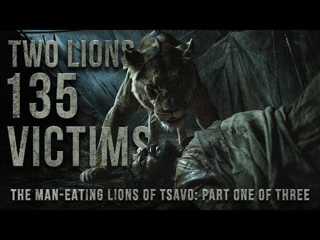 Two LIONS Claim 135 LIVES! The True Story Of The MAN-EATING LIONS Of Tsavo: Part 1 Of 3