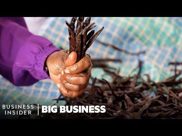 Vanilla Is The 2nd Most Expensive Spice. So Why Do Madagascar's Farmers Live In Poverty?