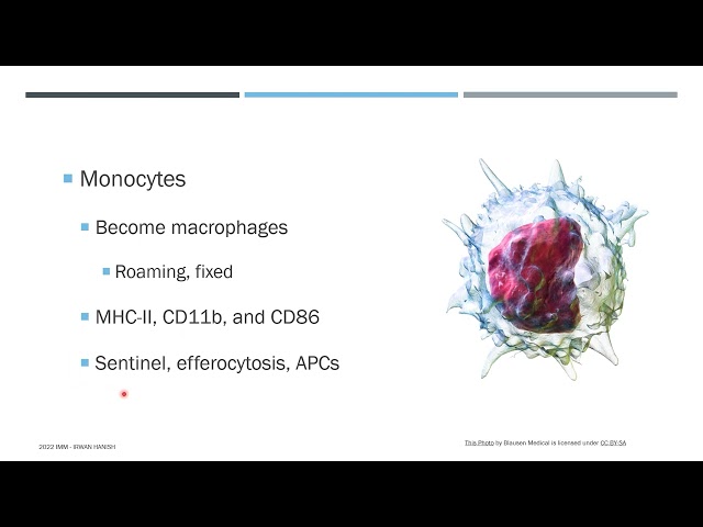 Immune Cells and Organs (part 1)