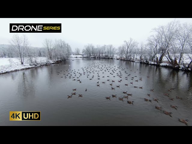 Thrilling Canadian Geese Flyover | New Paltz, NY