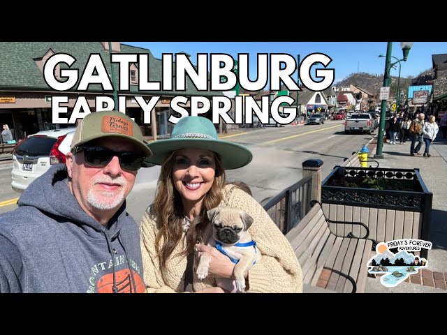 We Tried The CHICKEN HUT In Gatlinburg But GOT FISH? | Winston The Pug's First Time In Gatlinburg
